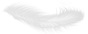 Plume